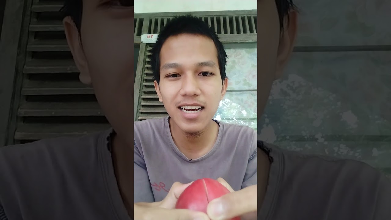 Review 1