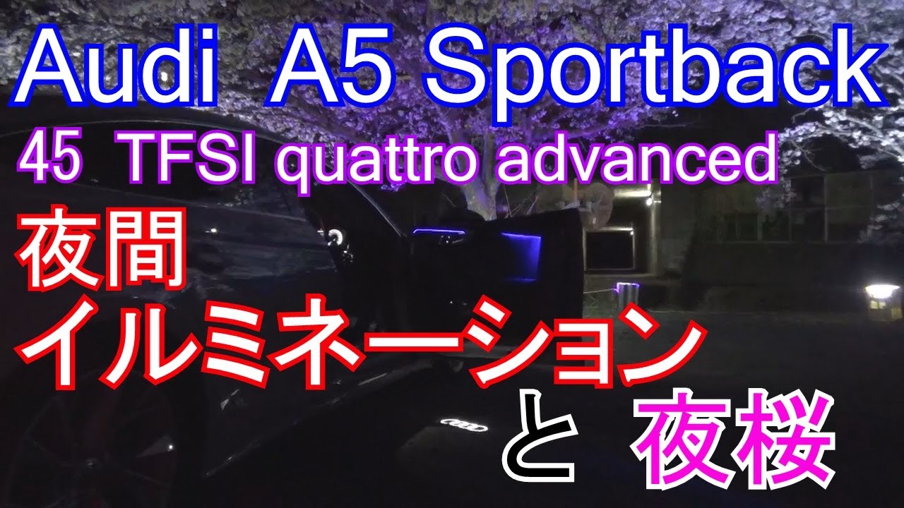 Audi A5 イルミネーションと夜桜共演！綺麗すぎて感動　#自動車#アウディ#桜