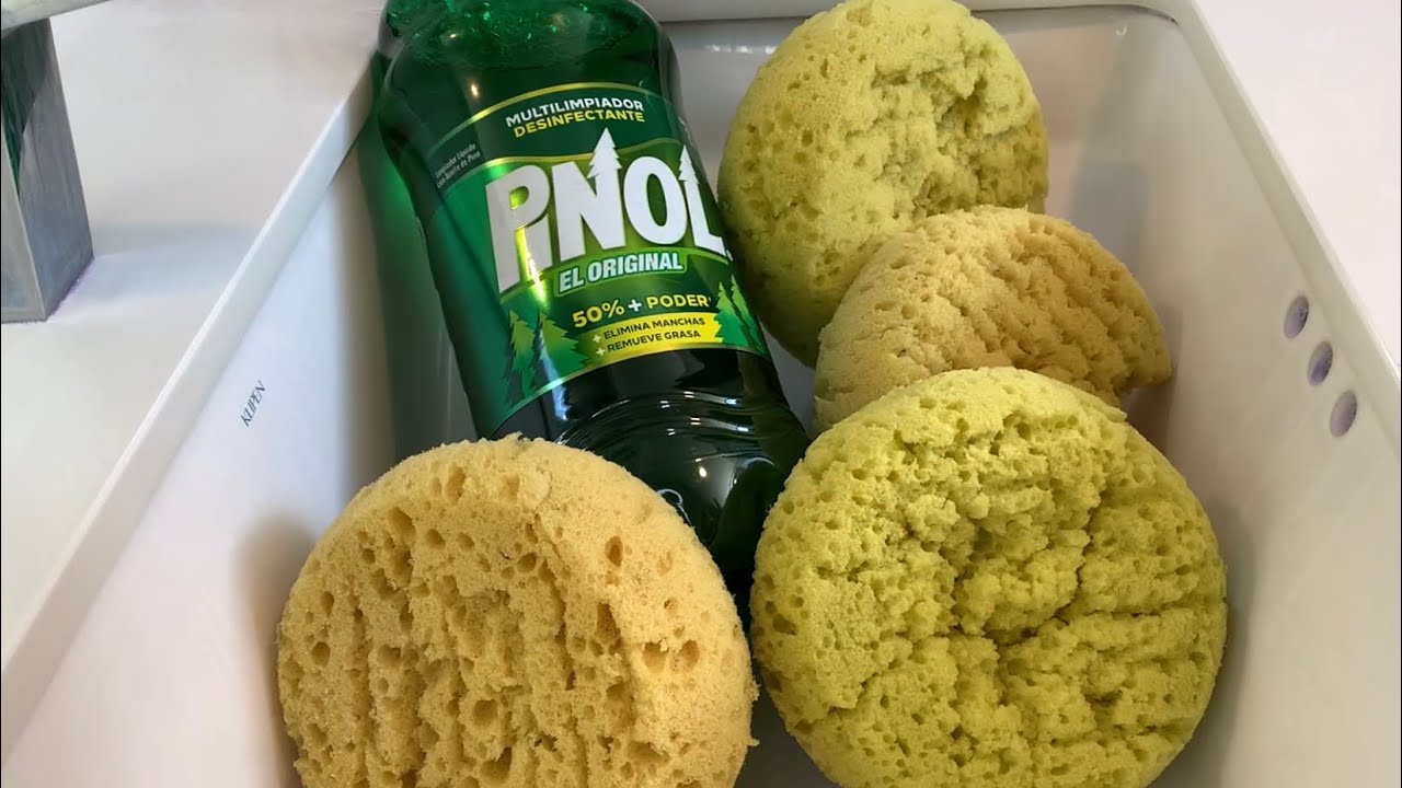 1 DobleLitro (2L) of PINOL ✨🌲💚 - sponge ASMR