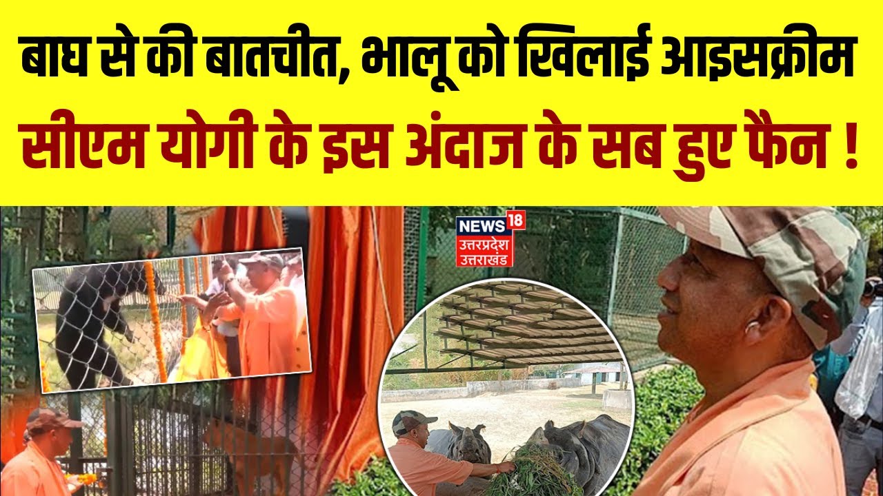 CM Yogi At Gorakhpur Zoo: भालू को खिलाई Ice Cream, बाघ से की बातचीत | CM Yogi Unique Style