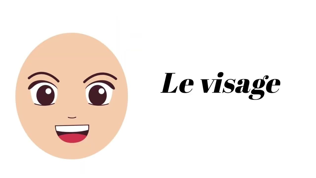 Părțile corpului uman în limba franceză 