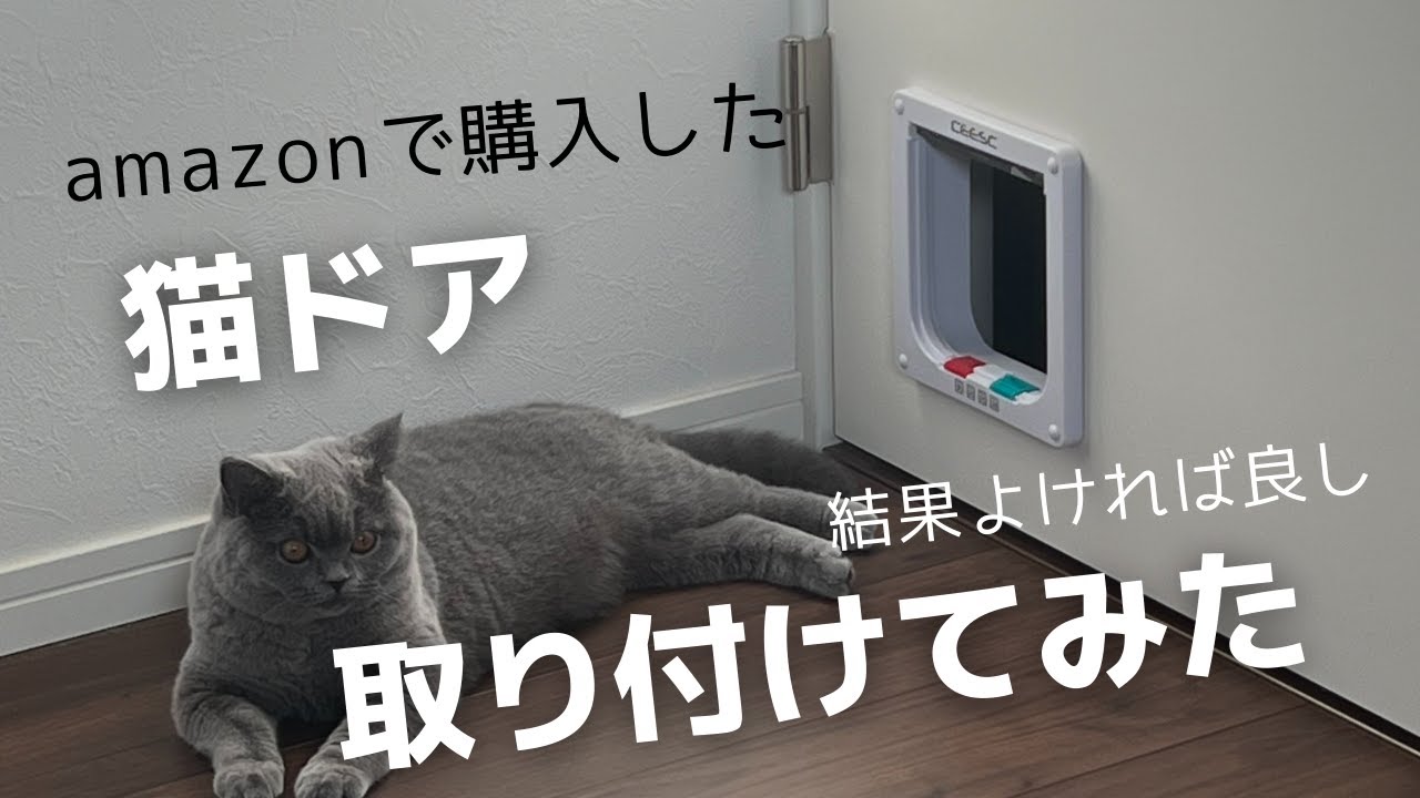 【DIY】猫ドア取り付けてみた！🐈‍⬛ いつでも部屋を行き来できるようにしました！#猫 #猫ドア #キャットドア #diy #ペットドア #猫のいる暮らし #ペット #ブリティッシュショートヘア