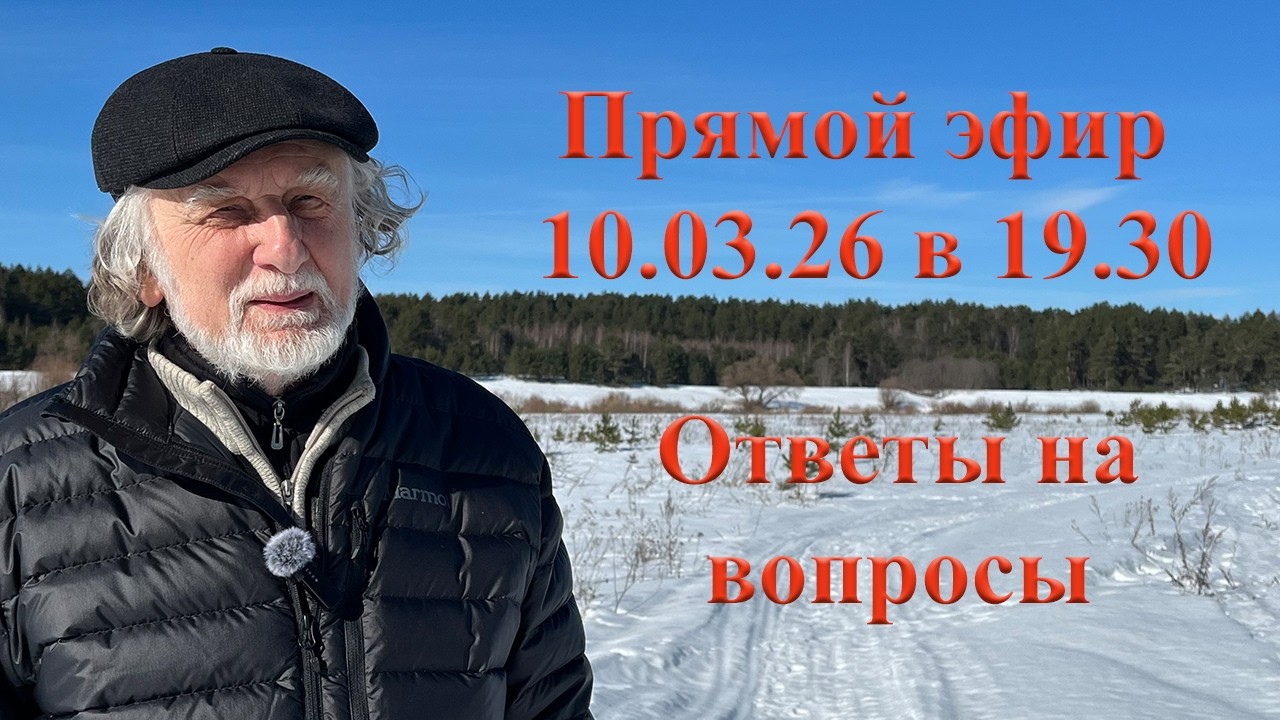 Ответы на вопросы 10.03.26