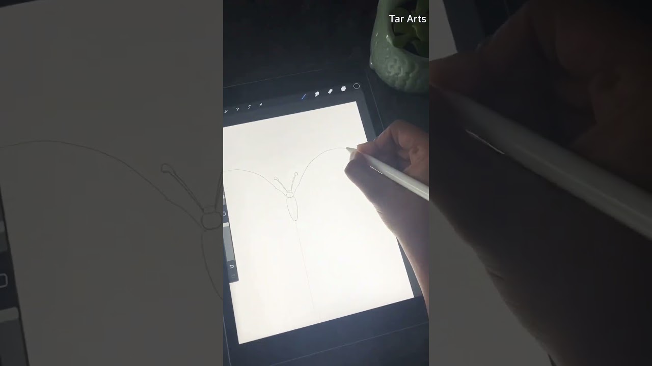 Butterfly procreate art 