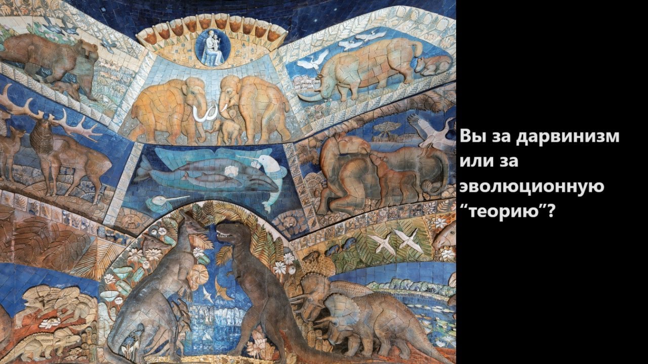 Вы за дарвинизм или за эволюционную “теорию”?