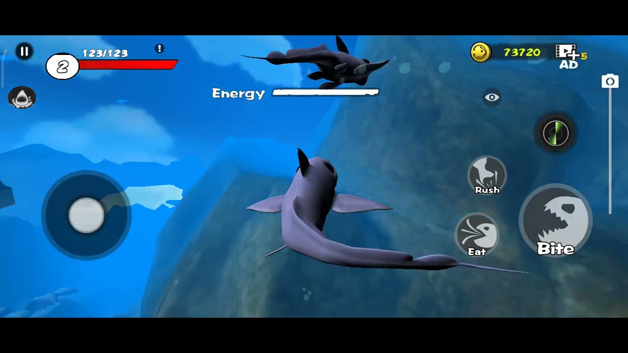 Ghost shark 