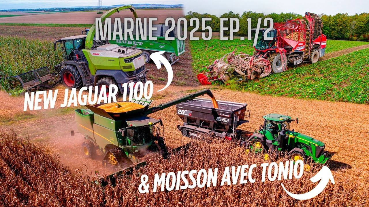 1 semaine dans la Marne 🇫🇷 Ep.1/2 | New Jaguar 1100 & Moisson avec Tonio 🌽 Arrachage de Betteraves 🍠