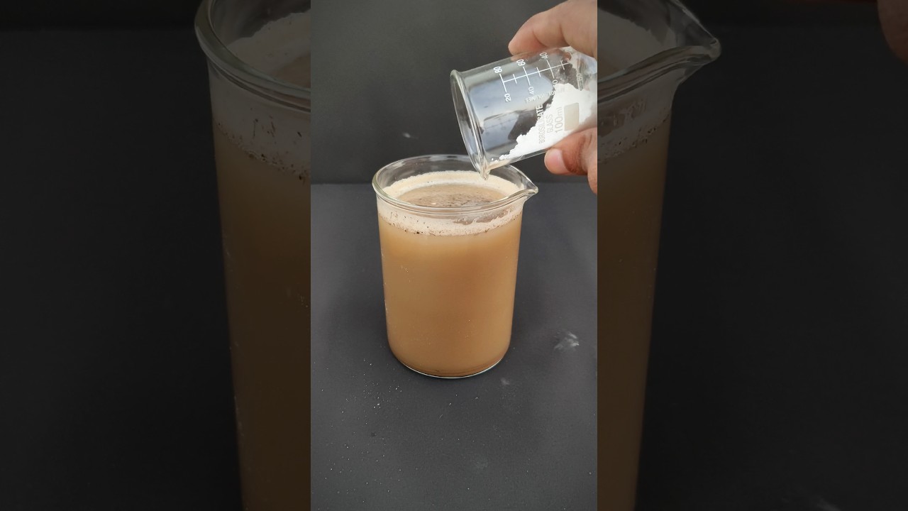 Cleaning water with Alum (fitkari) #carbon #experiment