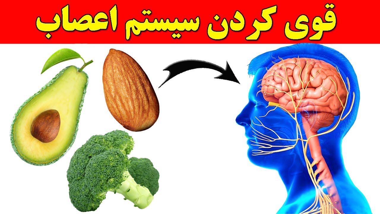 هشت خوراکی که سیستم اعصاب شما را قوی می کند !