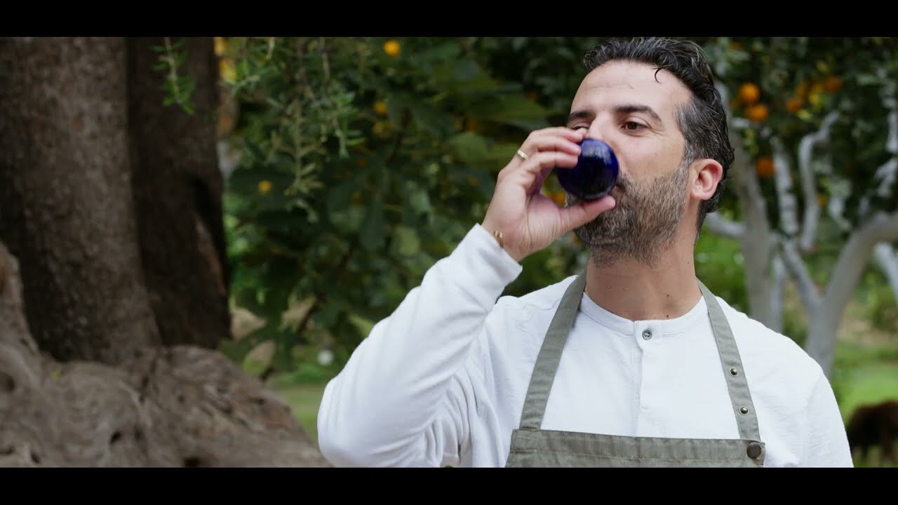 Greek Farms | North Mylopotamos & Lygourio PDO: The Liquid Gold of Greece