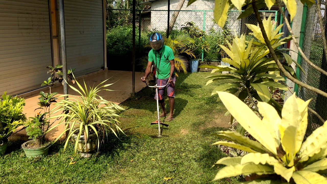 Mowing the lawn in a beautiful little garden. Cutting lawn in a flower garden | Garden grass cutting