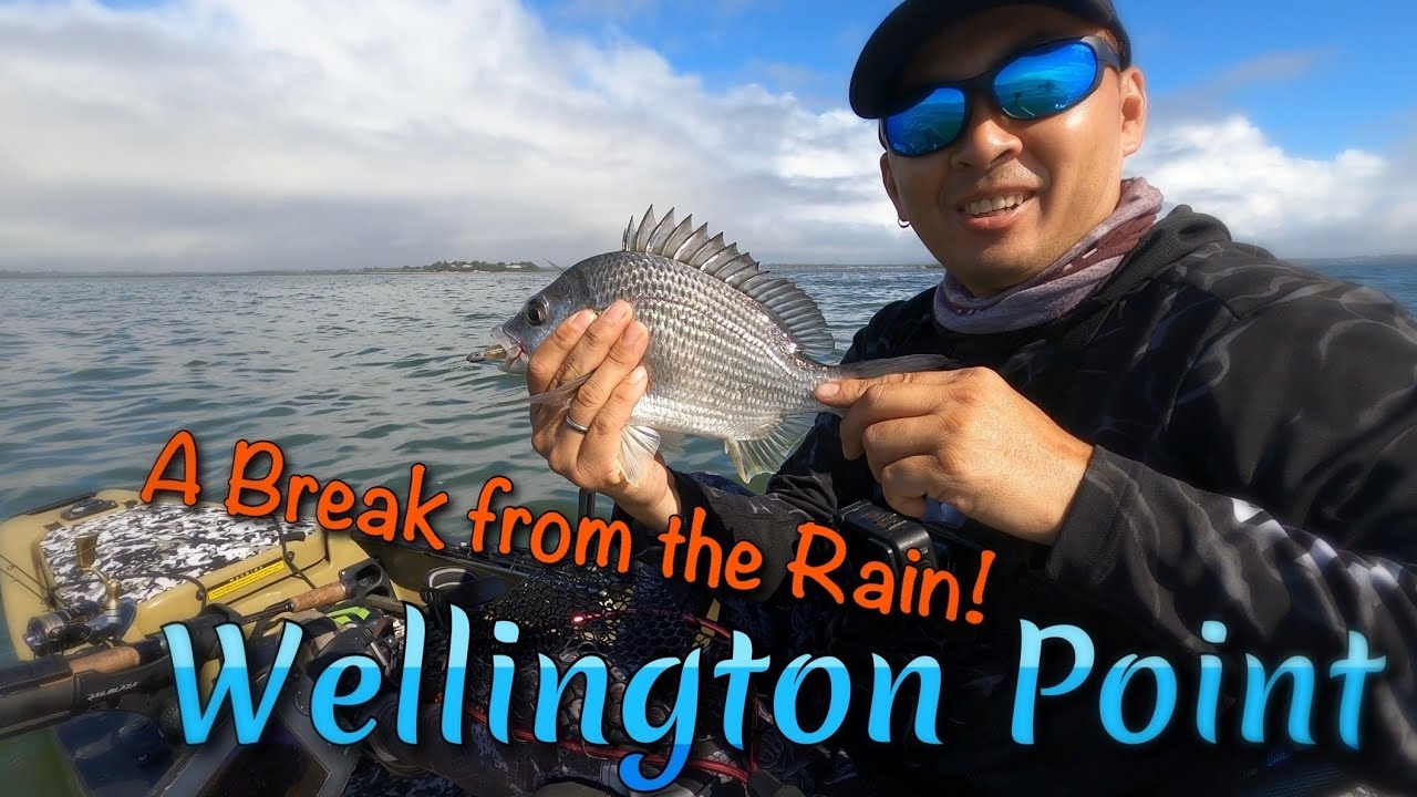 A Break From the Rain - Wellington Point