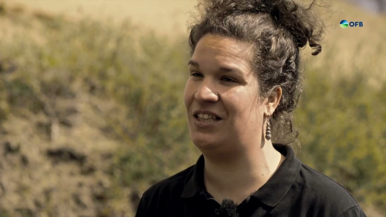 Le Service Civique Eco'Volonterre sur la dune fossile de Ghyvelde