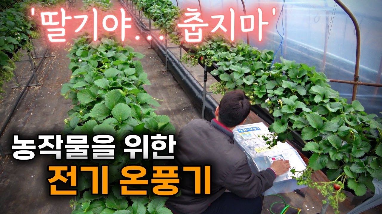 농작물이 춥지 않도록 도와주는 농업용 전기 온풍기를 만드는 회사 | 3대 째 70년 넘게 이어져 온 기업 | 창성전기온풍기 | 온풍기 | 열풍기 | 전기온풍기