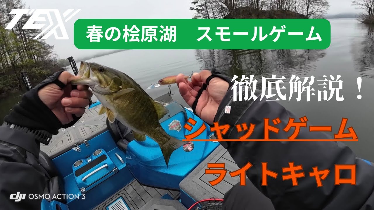 【スモールマウス】春の桧原湖の醍醐味シャッドパターン、ライトキャロを解説！