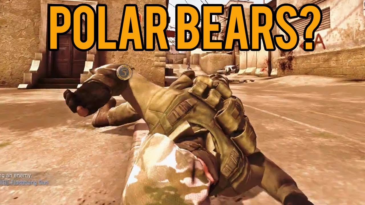CS GO - E71 Polar Bears?