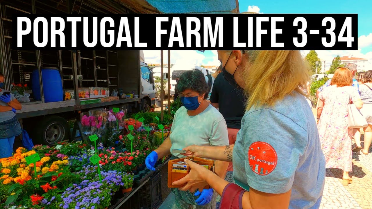 HOT Summer FARM GARDENING 🌞 | PORTUGAL FARM LIFE S3-E34 🚜