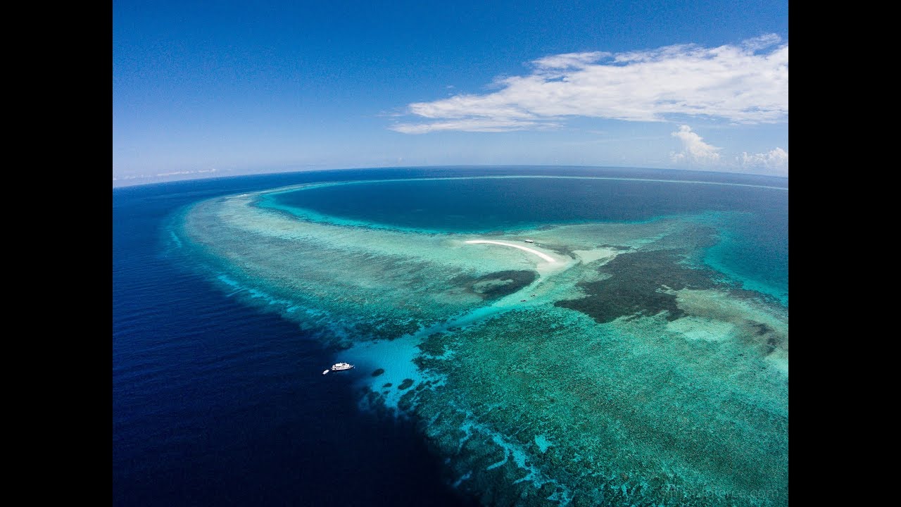 Dive Philippines Tubbataha