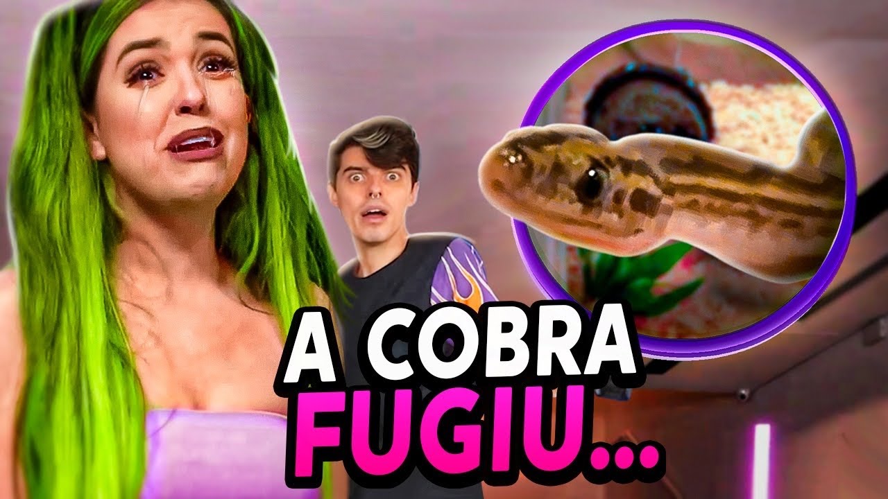 A COBRA DA FUNBABE FUGIU E DEIXOU TODOS EM PÂNICO! | FINAL LEVEL
