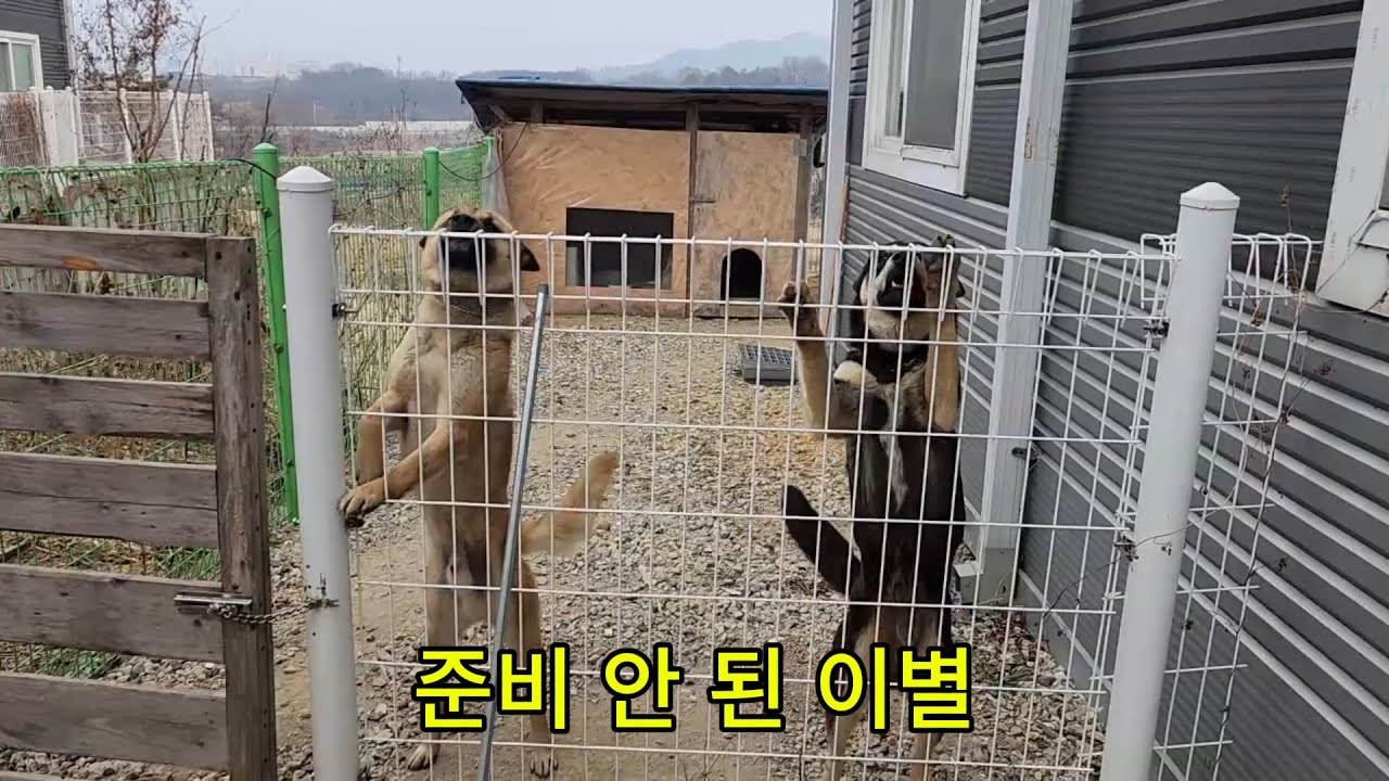 이별