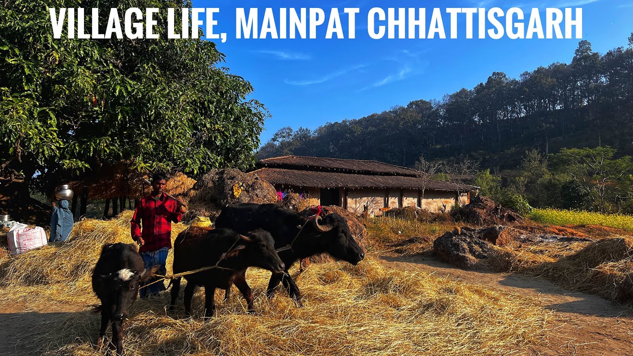 मोबाइल से पहले का सुकूनदायक जीवन🛖🌳 ।Life Before Mobile 📱 Surguja Chhattisgarh 