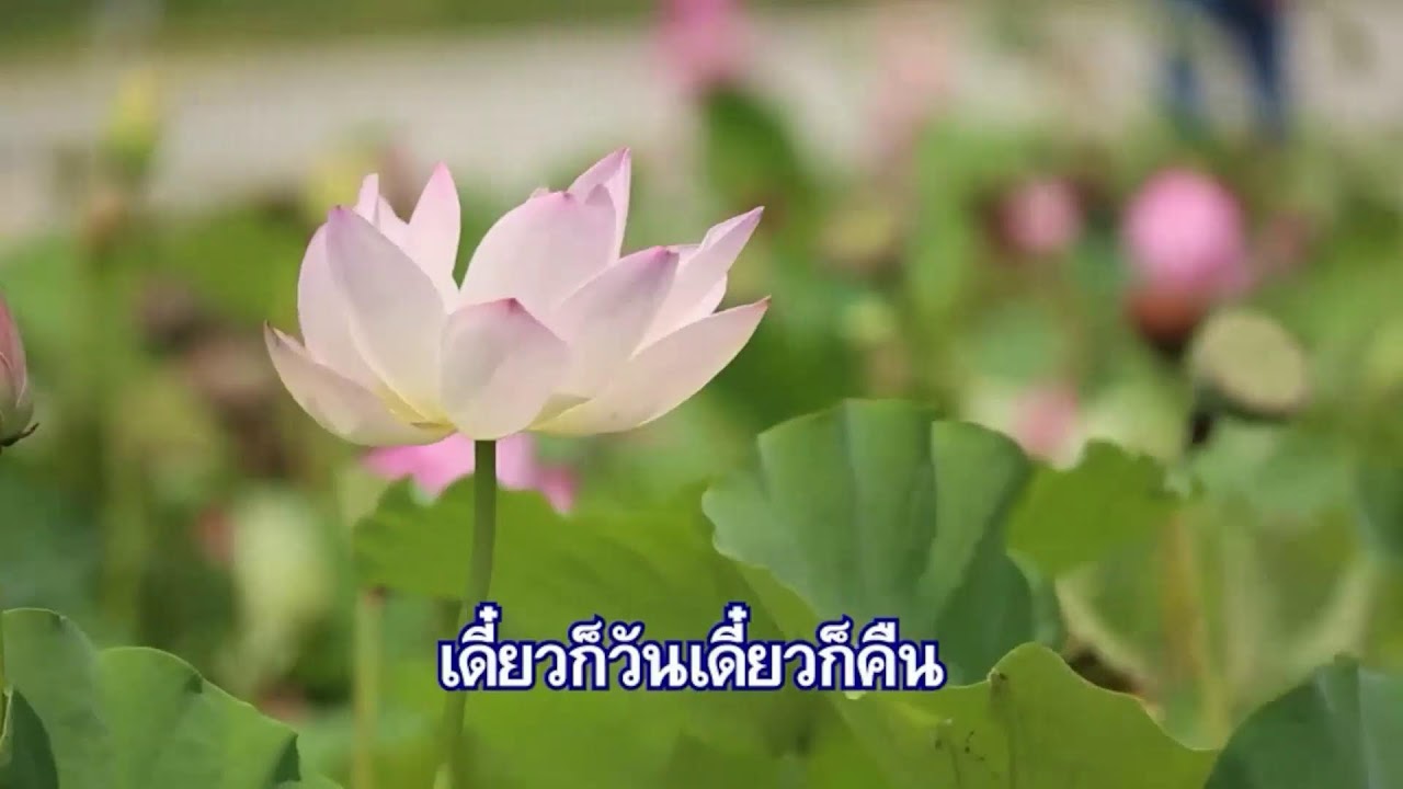 รายการธรรมะ 6 โมงเช้า ตอน สติปัฏฐาน