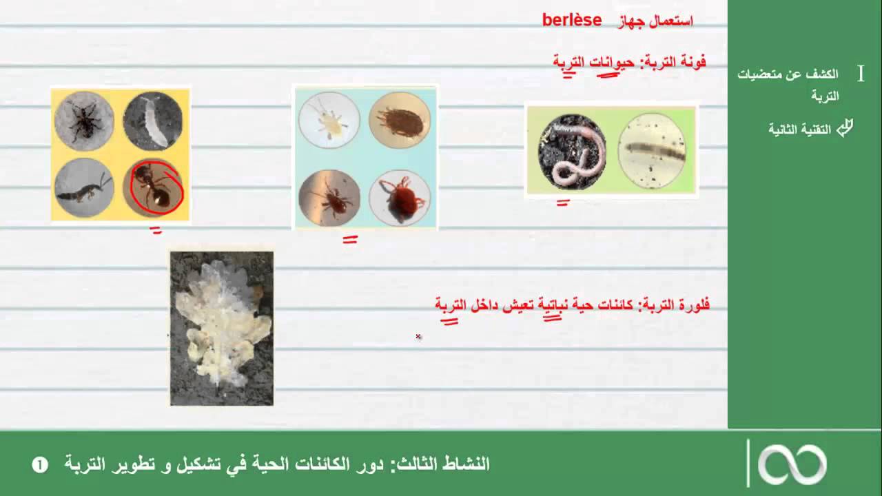 الجذع المشترك العلمي|  الحصة 12: دور المتعضيات في تشكيل وتطوير التربة جزء1