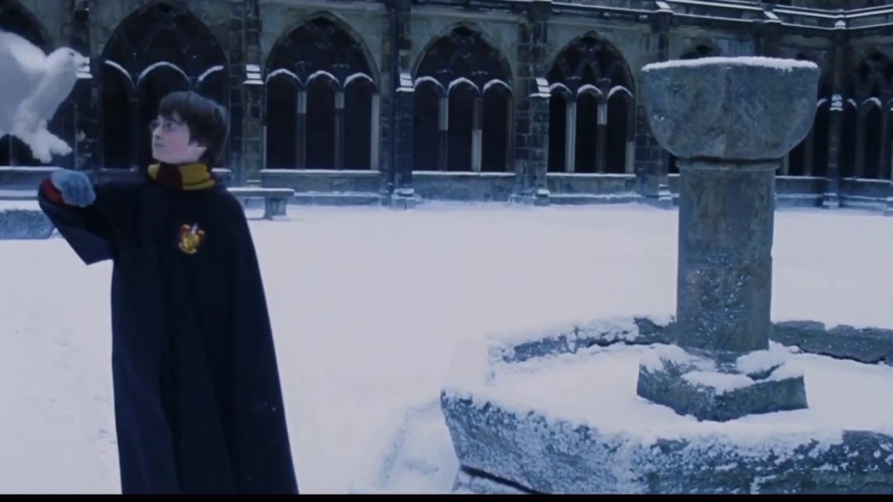 Harry potter Casualty