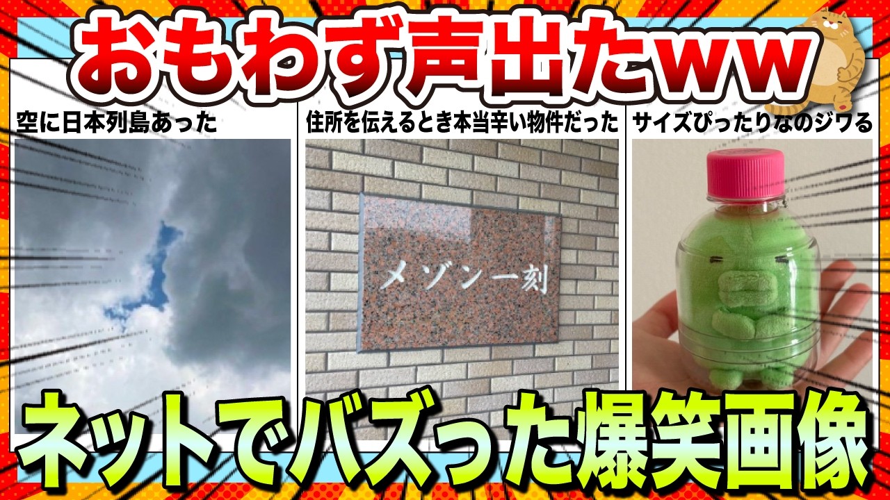 【🔥爆笑】声出して笑ったwwネットでバズりまくったおもしろ画像・動画集www【2ch】【5ch】【ゆっくり解説】【コメ付き】【面白画像】