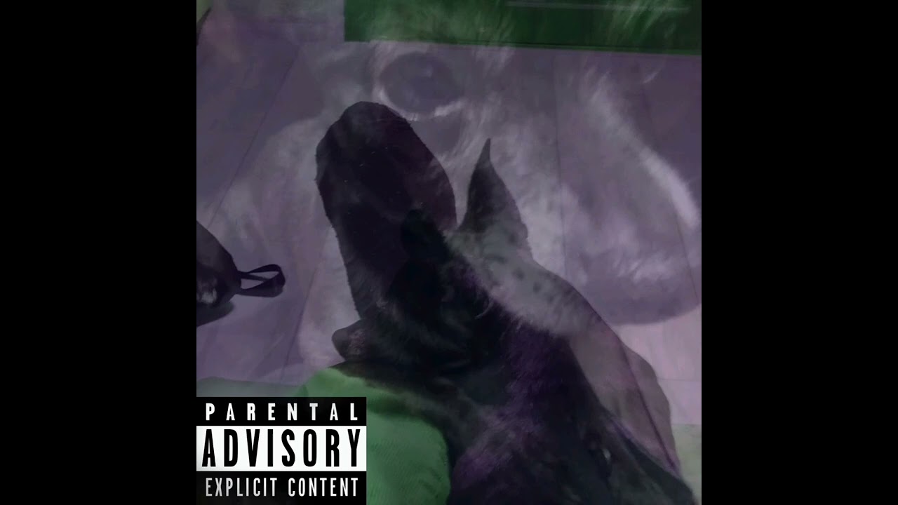 yungfierr & ARCH1-TRAP CHAOS (Prod. yungfierr)