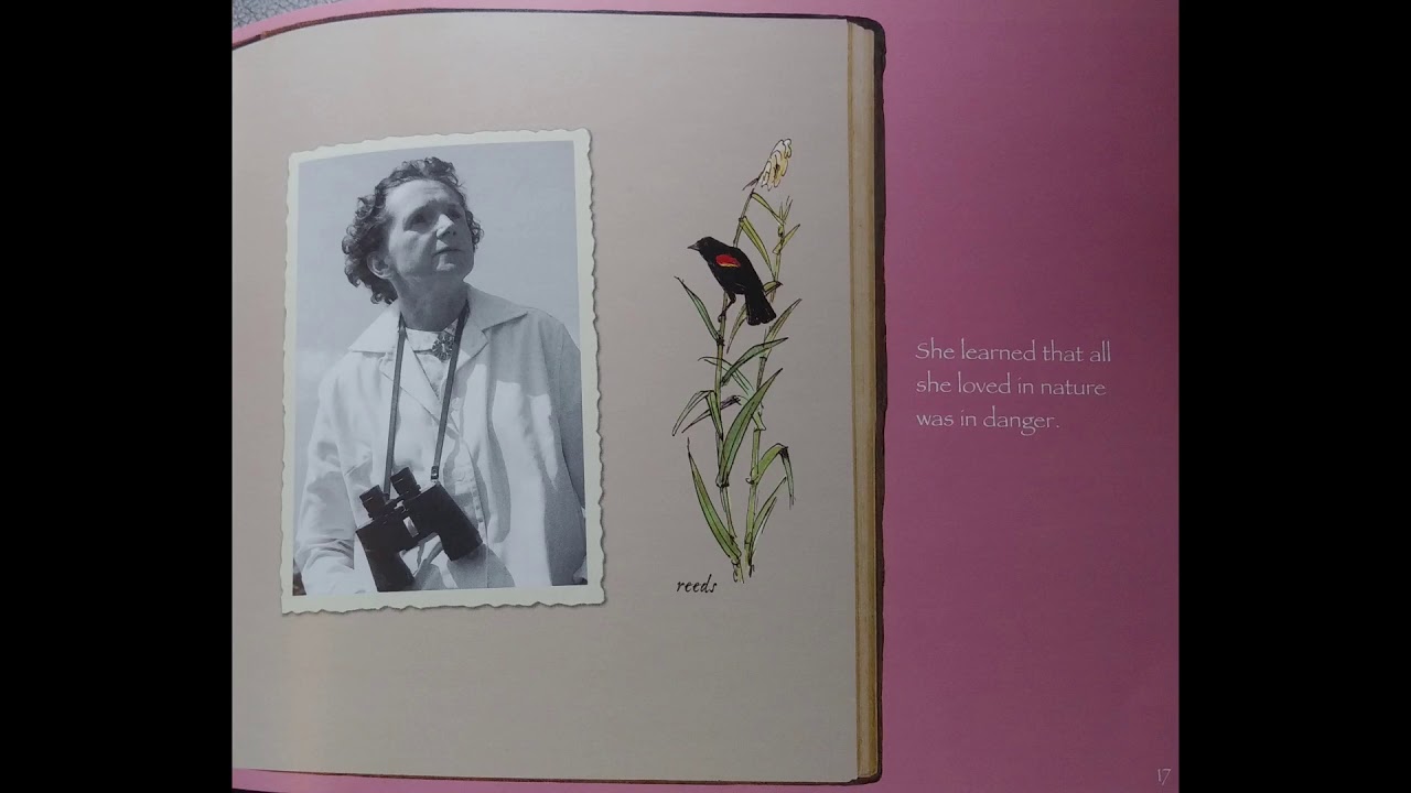 Rachel Carson (adapted from William Accorsi) Read Aloud