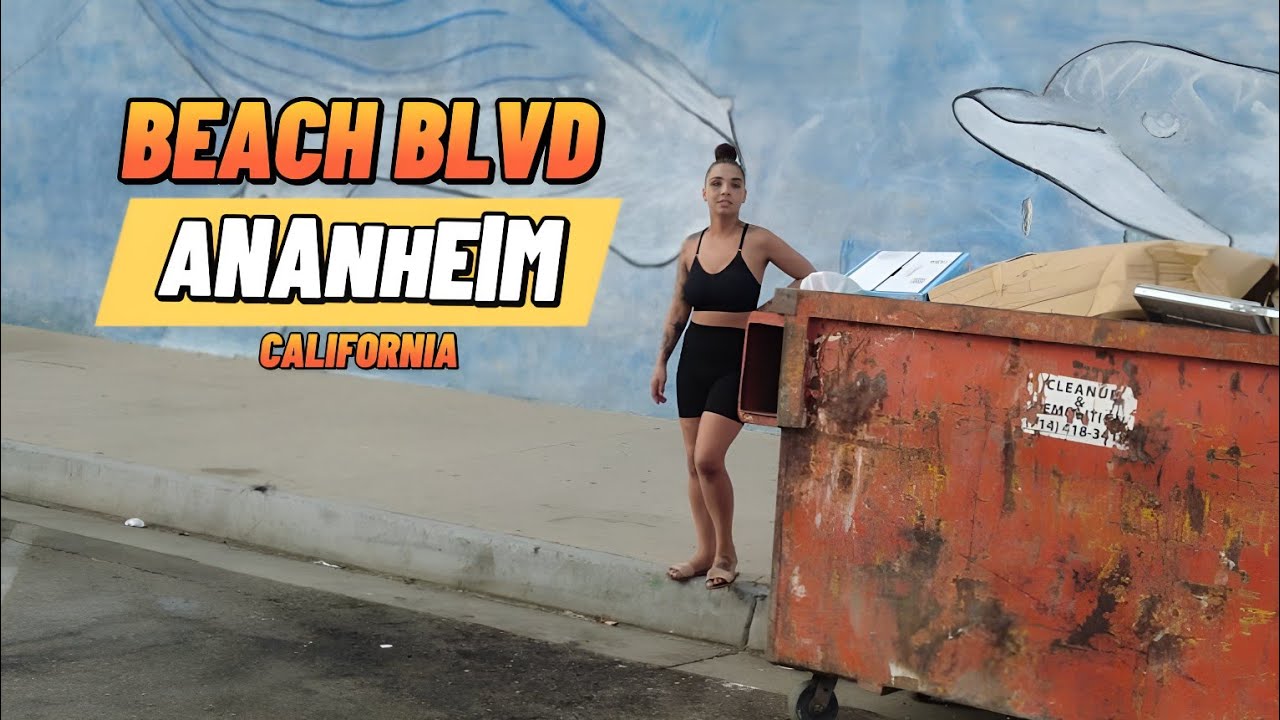 Anaheim California Beach Blvd Businesses