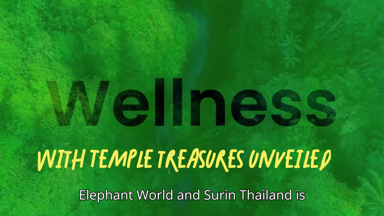 Elephant world in Surin Thailand