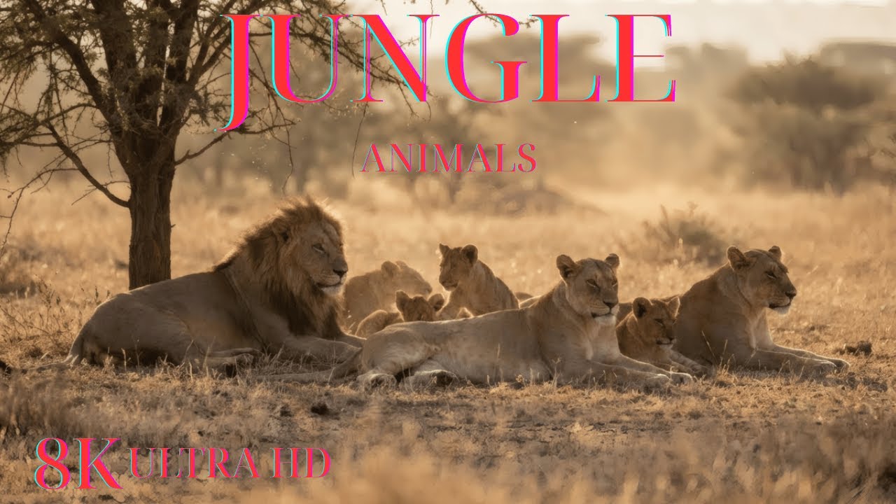 8K Animal World Documentary – Ultra HD Wildlife with Vivid Visuals and Lifelike Natural Sounds