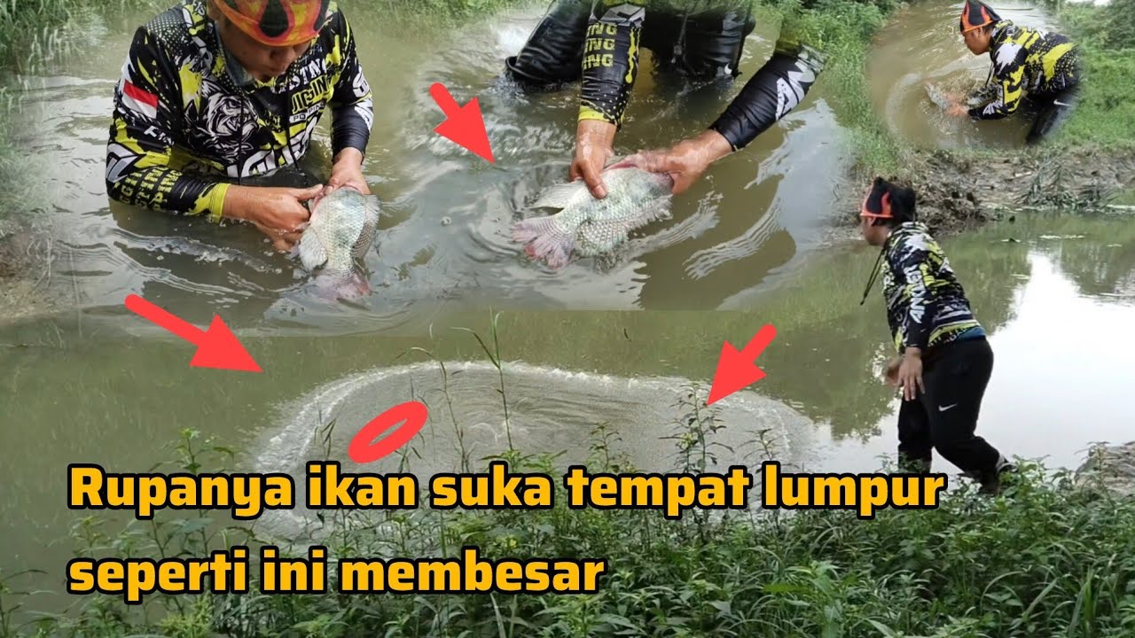 Penangkapan ikan dengan jaring lempar di tengah keindahan Alam,
