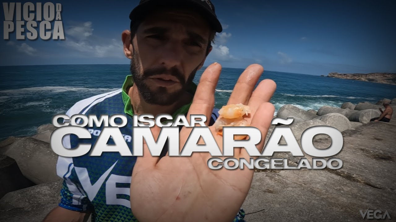 COMO ISCAR CAMARÃO CONGELADO PARA OS SARGOS - DICA DE PESCA #31