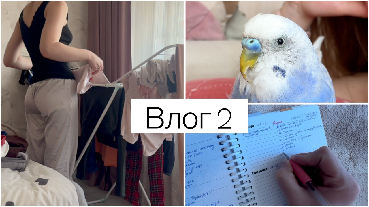 Vlog: Выходной день - много болтаем, бытовые дела | Рассказываю о планировании и крашу брови