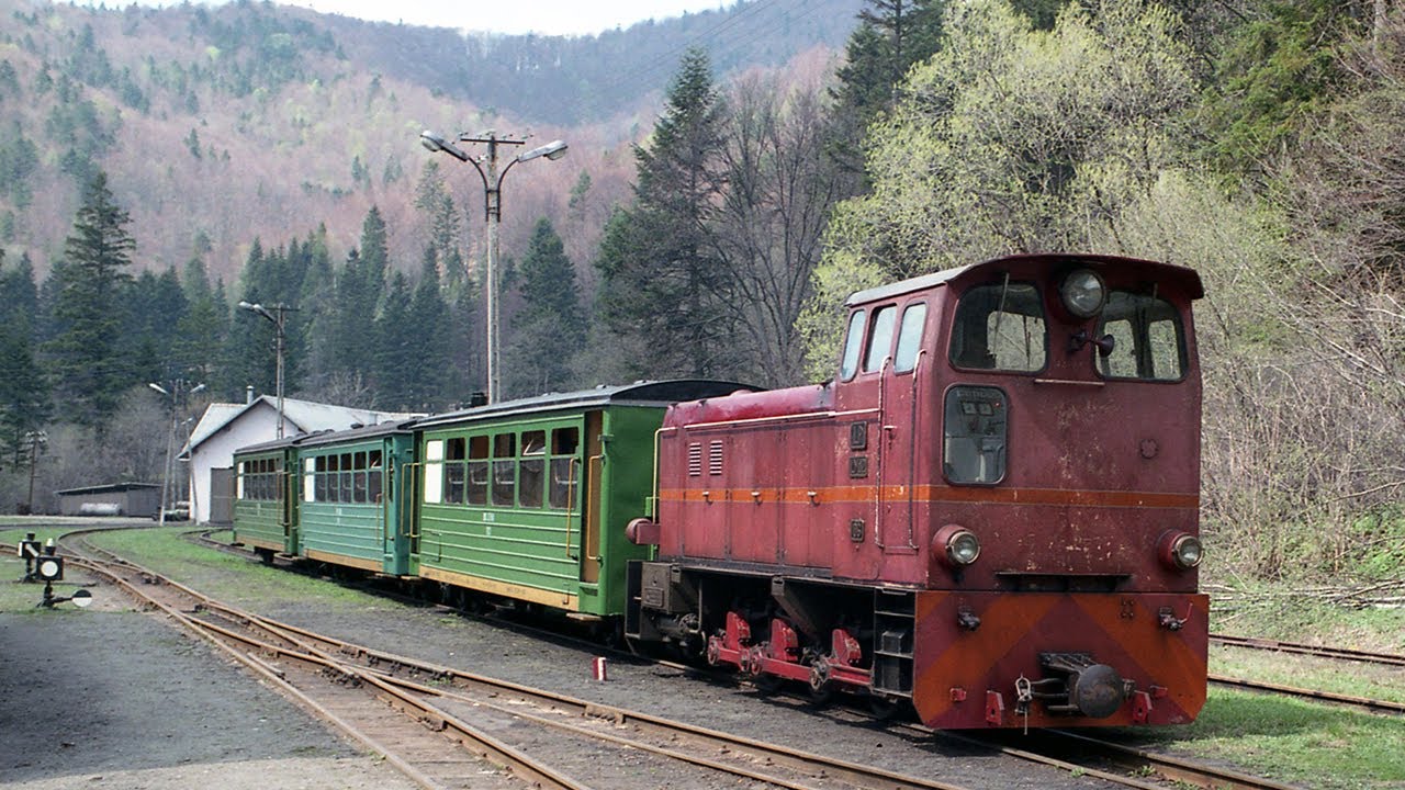 Werk- und Forstbahnen in Polen