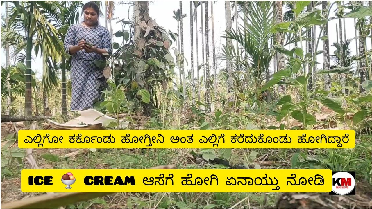 ICE 🍨 CREAM ಆಸೆಗೆ ಅಂತ ಹೋಗಿ ಕೆಲಸ ಮಾಡೋ ತರ ಆಯ್ತು. ಆದರೆ ಹೋಗಿದ್ದು ತುಂಬಾ ಖುಷಿ ಆಯ್ತು 