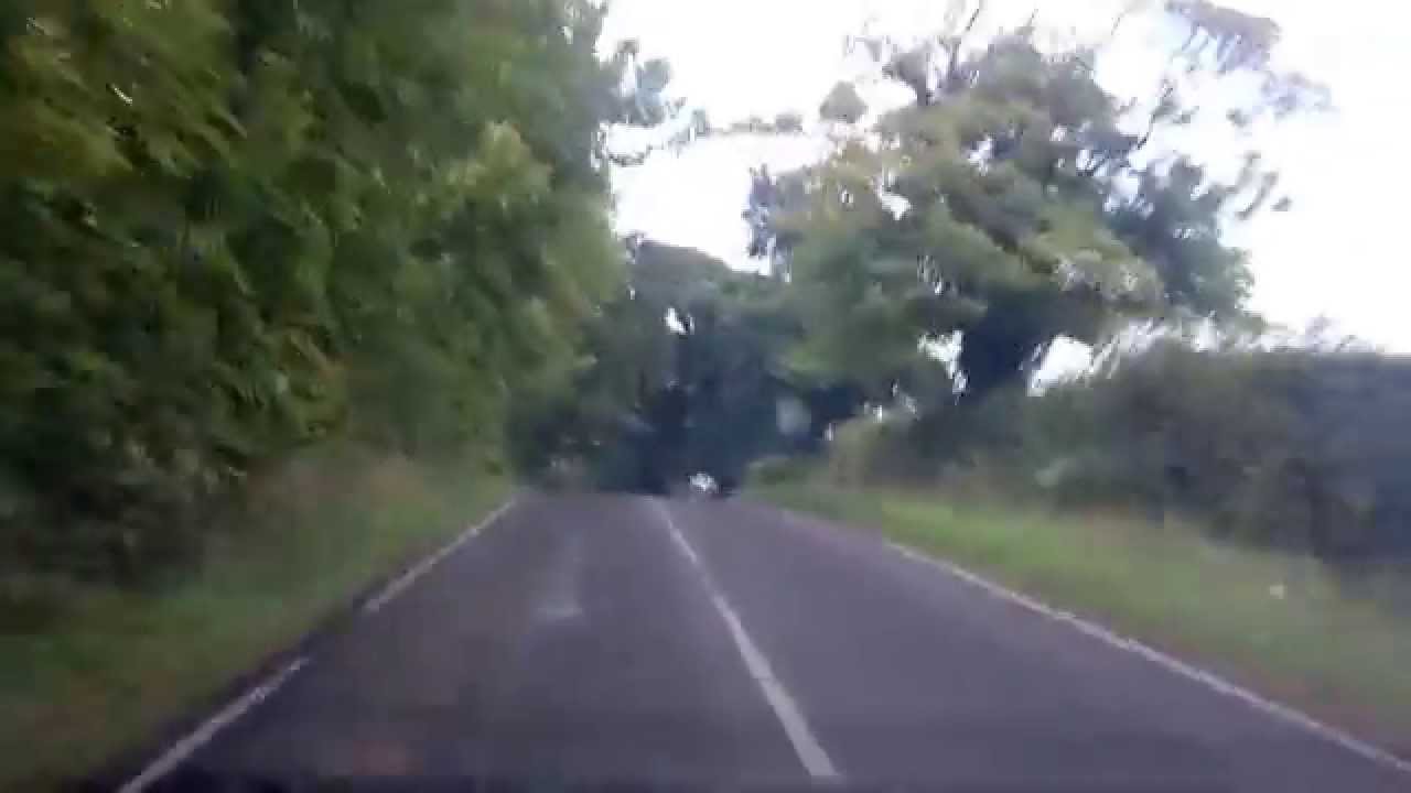 Toyota Corolla T Sport vs. Trout Beck