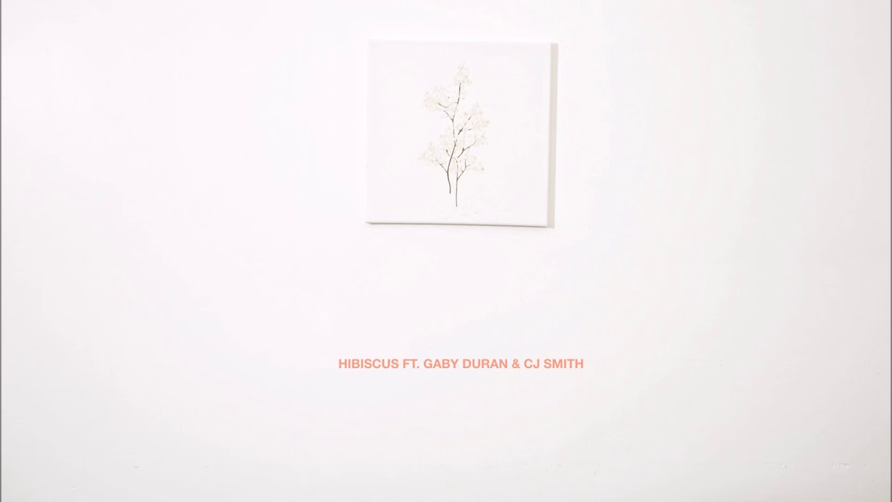 Asher Roth feat. Gaby Duran & CJ Smith - 