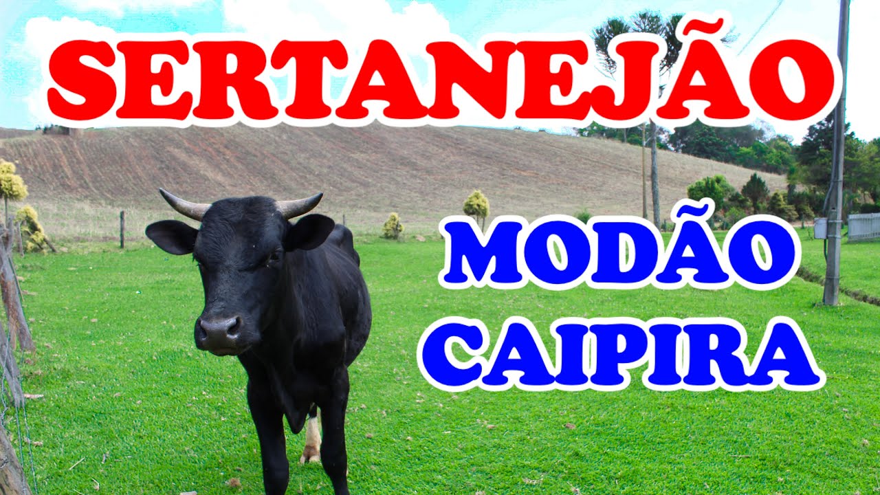 MODÃO SERTANEJÃO CAIPIRA - Uma Viagem ao Passado