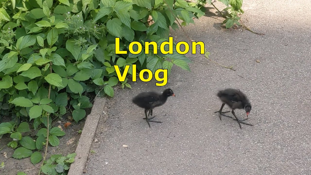 London Vlog