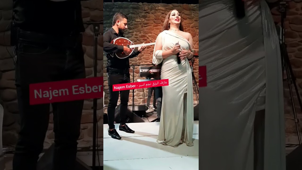 يا عسكري ويا جندي - الفنانة ريم السواس مع عازف البزق نجم اسبر
