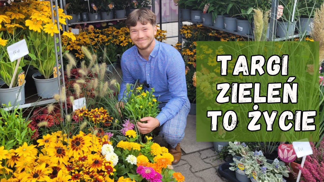 DRZEWO SPADŁO MI NA ŁEB na targach Zieleń to Życie 2023. Relacja z targów