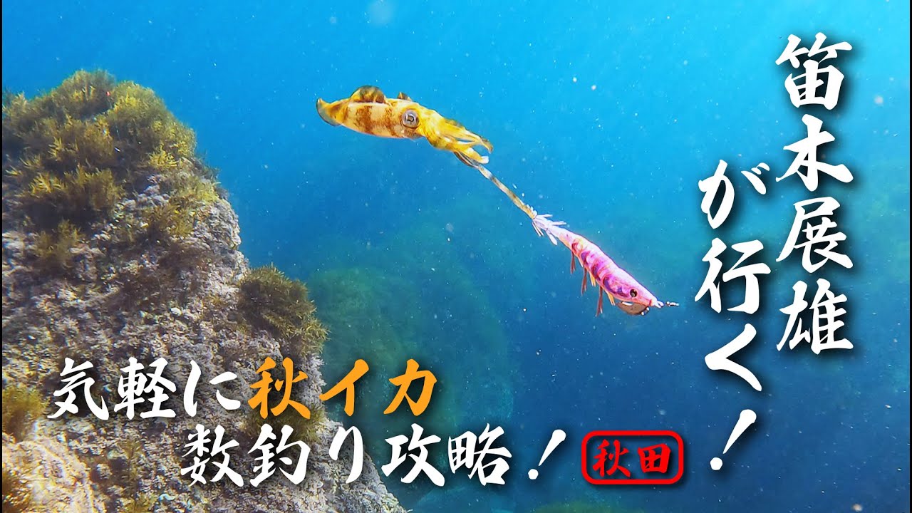 笛木展雄が行く！気軽に秋イカ数釣り攻略！in 秋田 (1119)