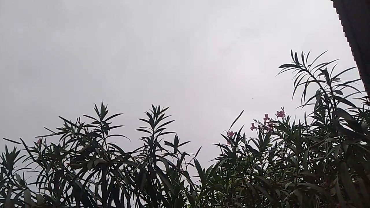 Udaipur rain 🌧️🌧️ nature ☔☔