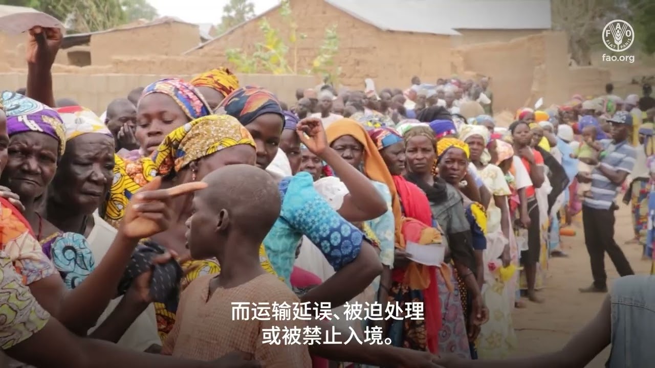 危机时期的安全援助：保护植物健康