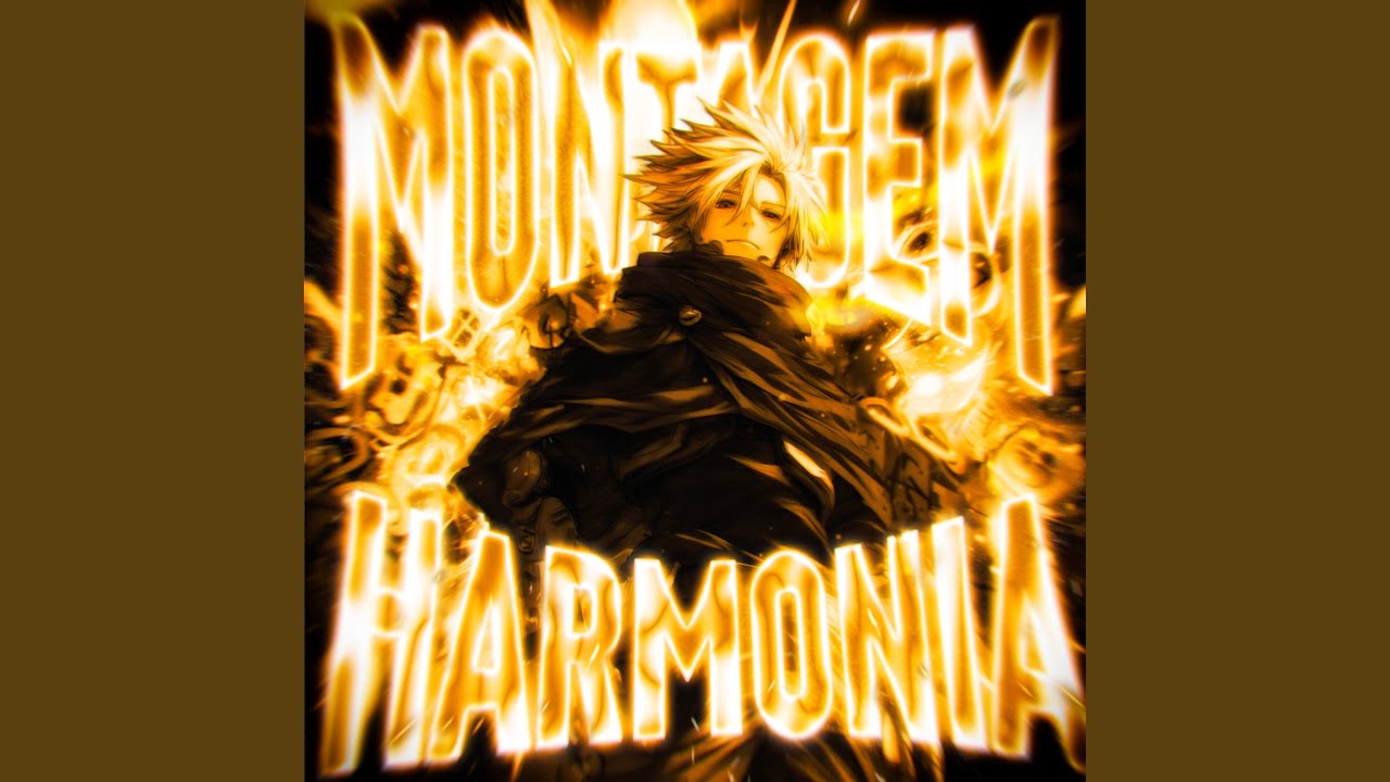 MONTAGEM HARMONIA (Slowed)