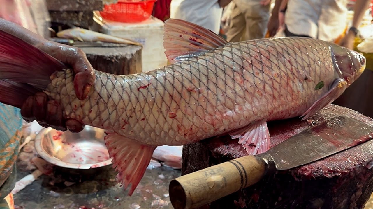Amazing Cutting Skills | Big Carp Fish Cutting By Expert Fish Cutter
